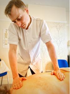 Read more about the article Osteopaths Don’t Just Treat Spines (Part 1: Muscles matter too)